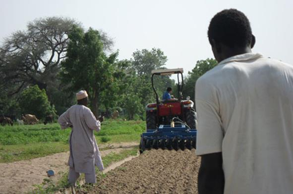 South African customers use our heavy harrow matching tractor to cultivate the land on the farmland